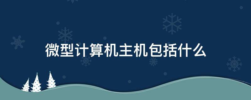 微型计算机主机包括什么 微型的计算机主机包括