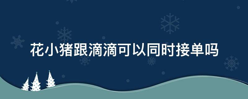 花小猪跟滴滴可以同时接单吗（花小猪和滴滴能一起接单吗）