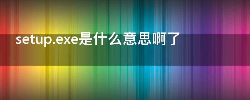 setup.exe是什么意思啊了
