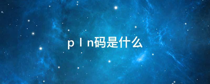 pⅠn码是什么（ascⅱ码是什么）