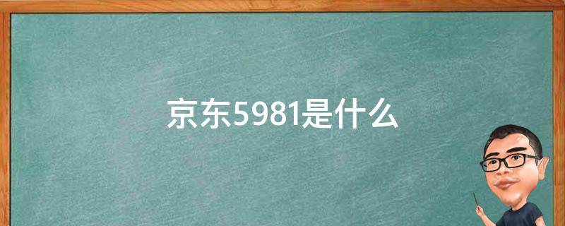 京东5981是什么 京东5919