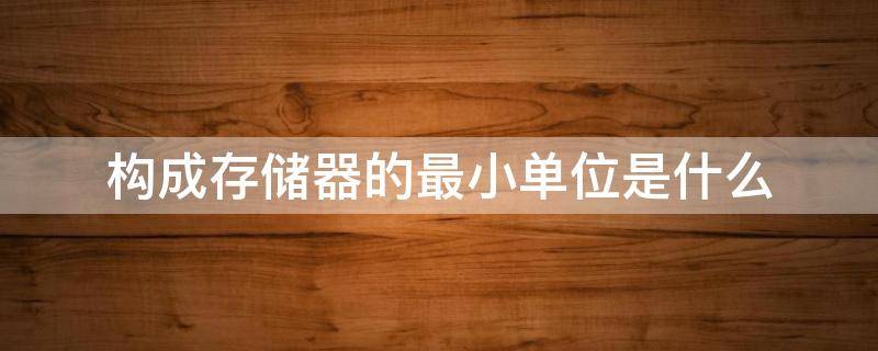 构成存储器的最小单位是什么（构成存储器的最小单位是什么存储容量一般以什么为单位）
