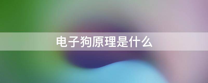 电子狗原理是什么 电子狗工作原理是什么