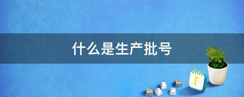 什么是生产批号（生产批号指的是什么意思）