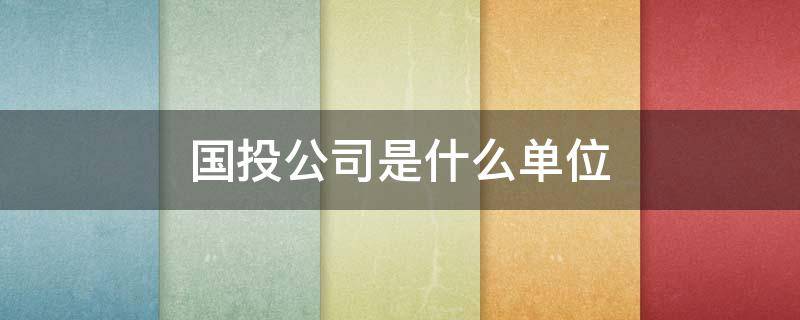 国投公司是什么单位（国投公司是什么单位有编制吗）