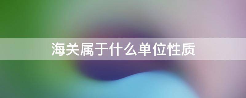 海关属于什么单位性质（郑州海关属于什么单位性质）