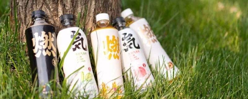 元气森林饮料是哪个公司的 元气森林饮料是哪个公司的,还有什么产品