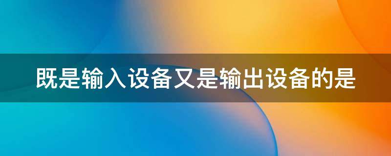 既是输入设备又是输出设备的是 计算机中既是输入设备又是输出设备的是