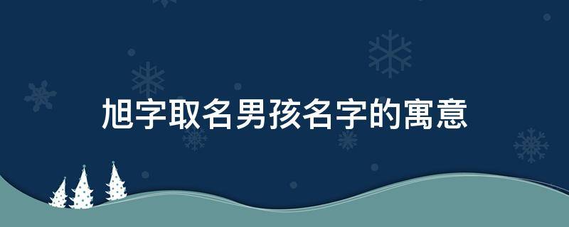 旭字取名男孩名字的寓意（旭字取名男孩名字大全）