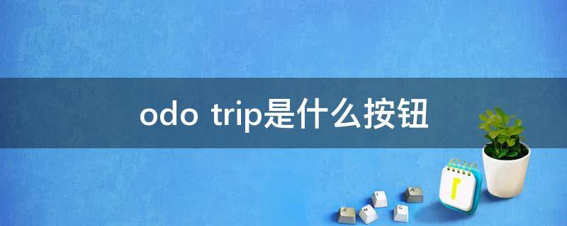 odo trip是什么按钮
