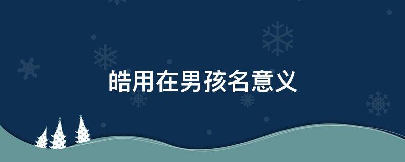 皓用在男孩名意义 皓的意思和含义
