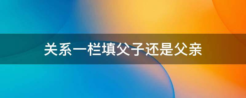 关系一栏填父子还是父亲 与本人关系写成父女还是父亲