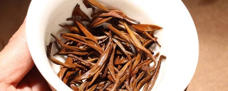 古树金针属什么茶（古树金针属什么茶价格）