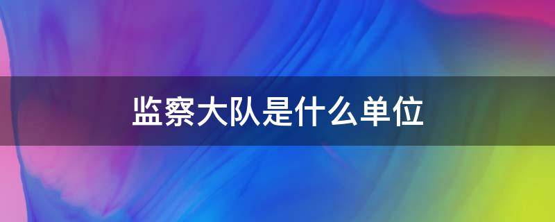 监察大队是什么单位（监察大队是什么单位类型）