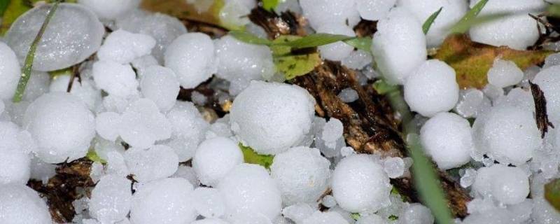 冰雹是哪个季节下的 冰雹是哪个季节下的最多