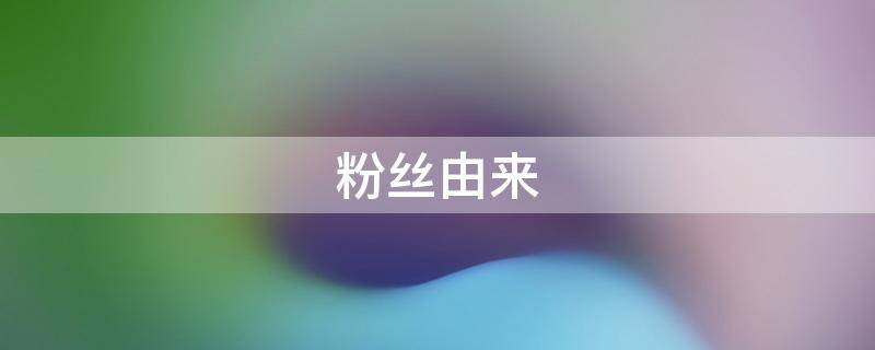 粉丝由来（粉丝的由来）
