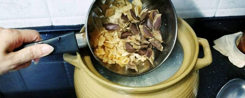 陈肾是什么东西（陈肾是什么东西图片）