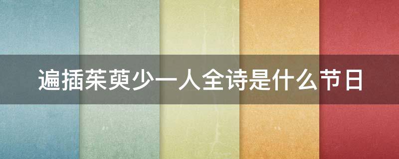 遍插茱萸少一人全诗是什么节日 遍插茱萸少一人的前一句是什么?作者是谁?