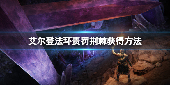 艾尔登法环责罚荆棘怎么获得 艾尔登法环介绍