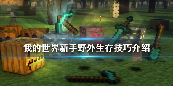 我的世界新手如何在野外生存（我的世界新手生存攻略指南）