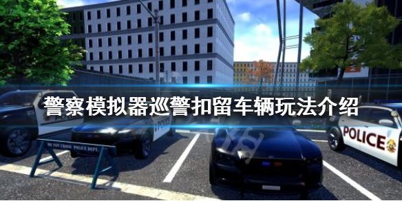 警察模拟器巡警如何扣留车辆（警察模拟器巡警如何扣留车辆视频）