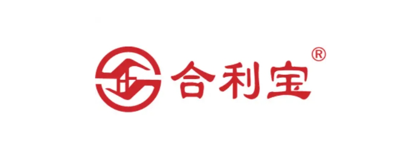 合利宝是哪家支付公司的（合利宝是哪个支付平台）