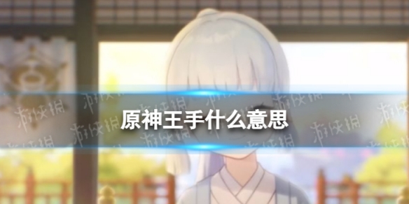 原神王手什么意思（原神什么叫脱手技能）