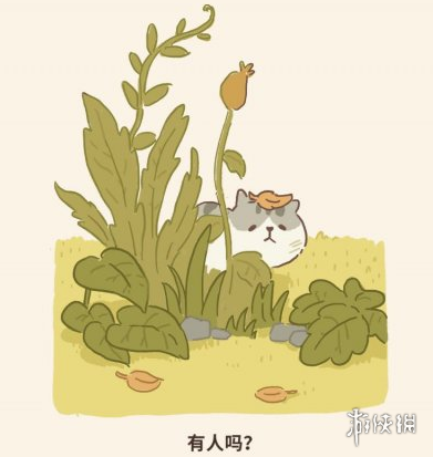 微信动物餐厅猞猁来访条件是什么 动物餐厅动物来访条件
