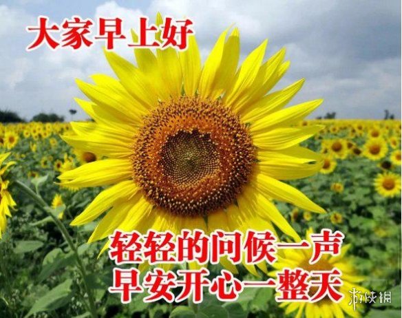 微信发送早安图片收费吗