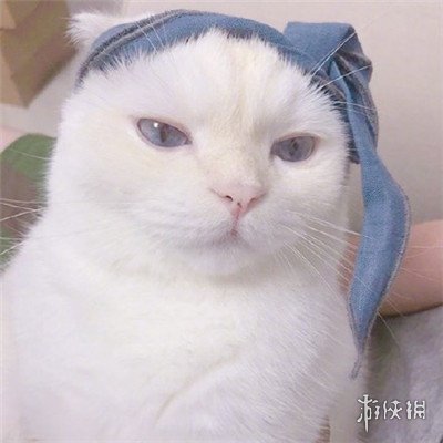 微信头像图片2021最新款
