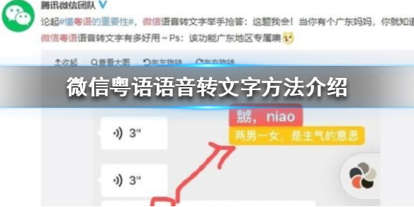 微信粤语语音怎么转文字 微信粤语语音怎么转换文字