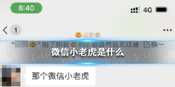 微信小老虎是什么（微信名小老虎）