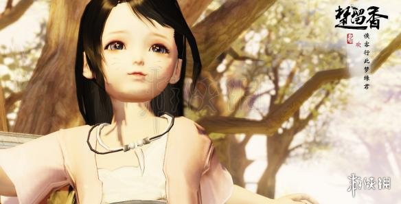 楚留香沧海加点教程技巧（楚留香沧海帮派技能怎么点）