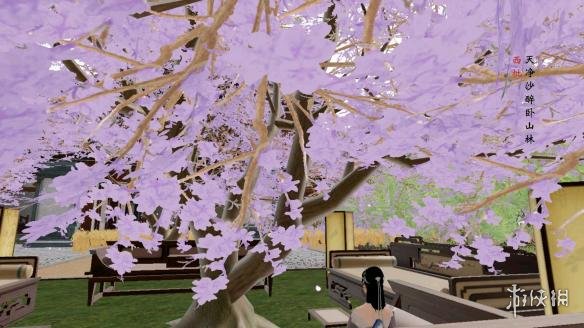 楚留香本周地契什么时候拍卖 楚留香地契怎么转让