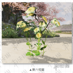 楚留香手游兼六香黄怎么获得 楚留香攻守兼备