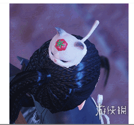 楚留香12月21日更新了什么