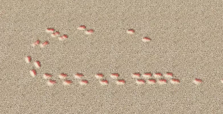 楚留香庭院足迹怎么设置