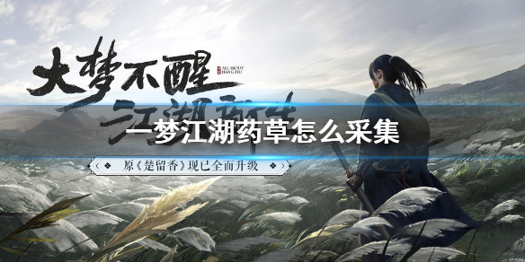 一梦江湖药草怎么采集（一梦江湖火药在哪里采集）