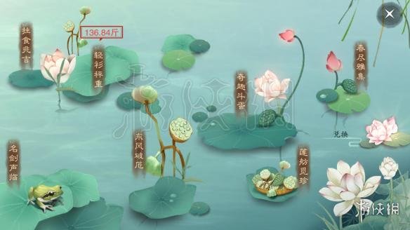 楚留香立夏集玩法（楚留香夏清）