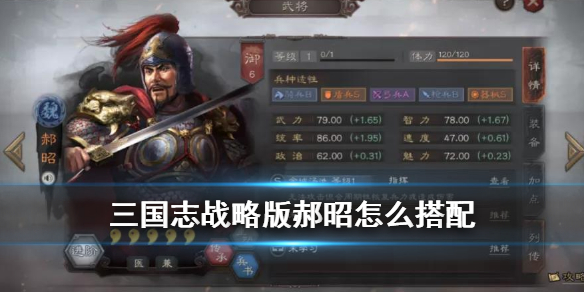 三国志战略版郝昭搭配推荐（三国志战略版郝昭最强搭配）