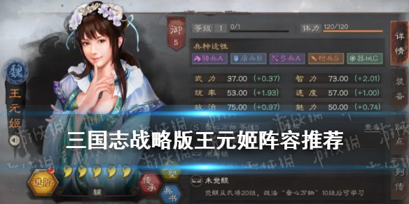 三国志战略版王元姬阵容推荐（幻想三国志王元姬核心阵容）