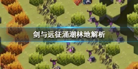 剑与远征涌潮林地解析 剑与远征涌潮林地左边怎么过