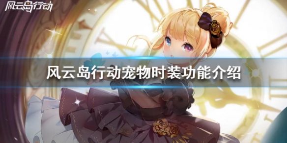 风云岛行动宠物时装功能介绍（风云岛行动宠物哪个好）
