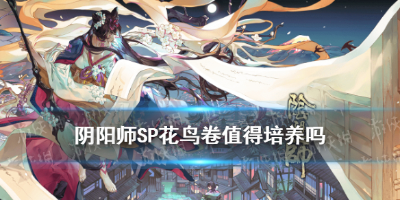 阴阳师SP花鸟卷值得培养吗 阴阳师SP花鸟卷带什么御魂