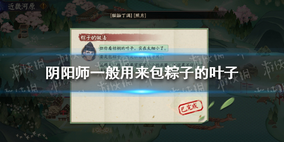 阴阳师一般用来包粽子的叶子（阴阳师包粽子的叶子有哪几种）