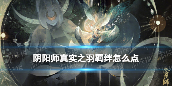 阴阳师真实之羽羁绊怎么点 阴阳师羽翼
