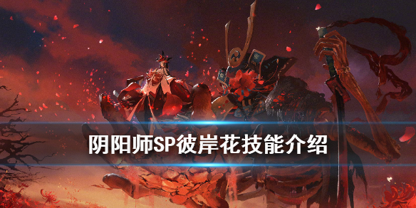 阴阳师SP彼岸花技能是什么 阴阳师SP彼岸花技能