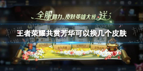 王者荣耀共赏芳华可以换几个皮肤（王者荣耀共赏芳华可以换几个皮肤啊）