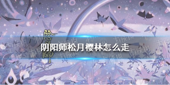 阴阳师松月樱林怎么走（阴阳师松月樱林怎么走樱花）