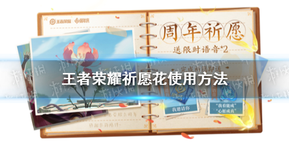 王者荣耀祈愿花怎么用（王者荣耀祈愿花怎么用2021）